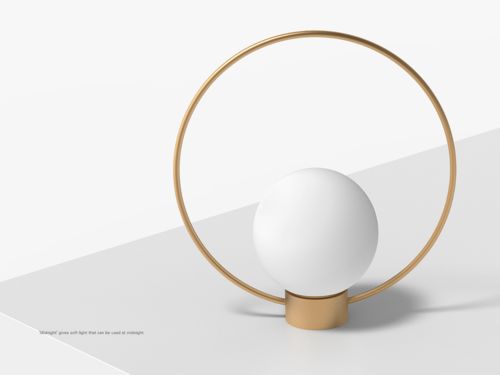 100個優秀的環形產品案例圖