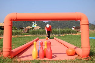 5000張票免費送 金華這個地里 長 出了20000個南瓜,還有一個800斤重