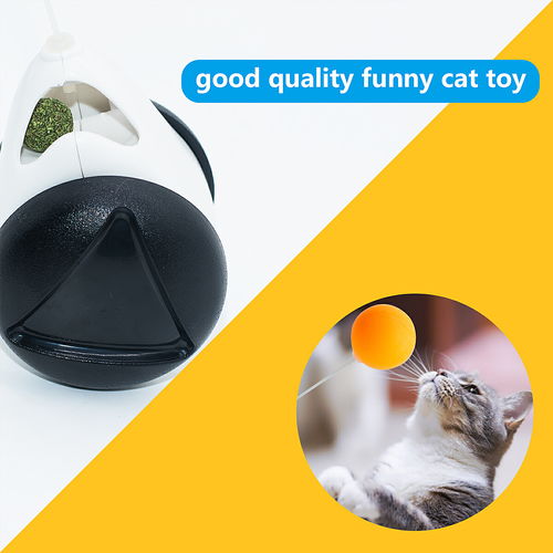 長沙亞馬遜圖片產(chǎn)品拍照寵物用品圖片設(shè)計(jì)制作外貿(mào)電商